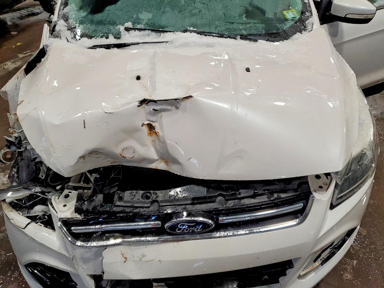 2013 FORD ESCAPE TITANIUM photo 12