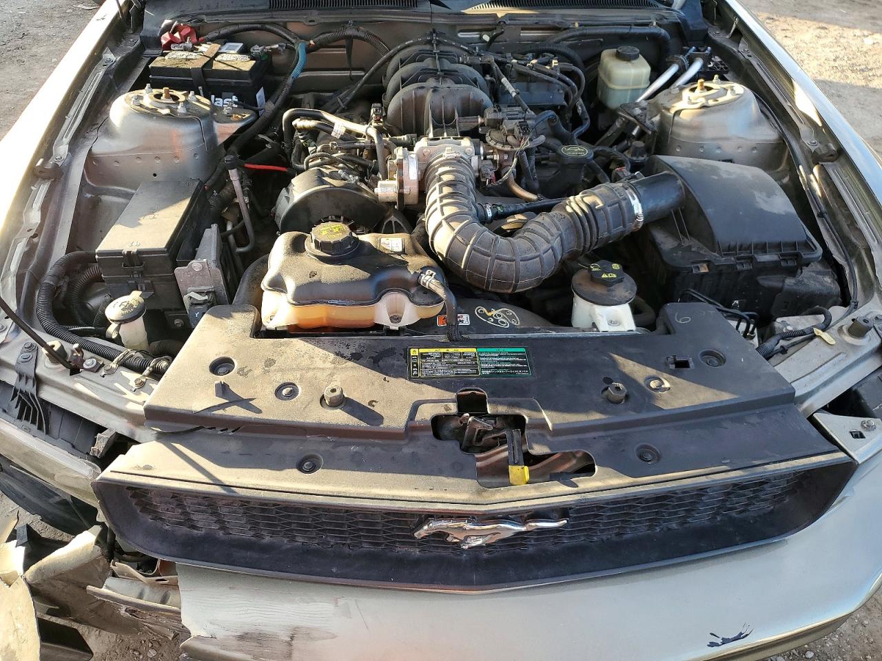 2005 FORD MUSTANG photo 11