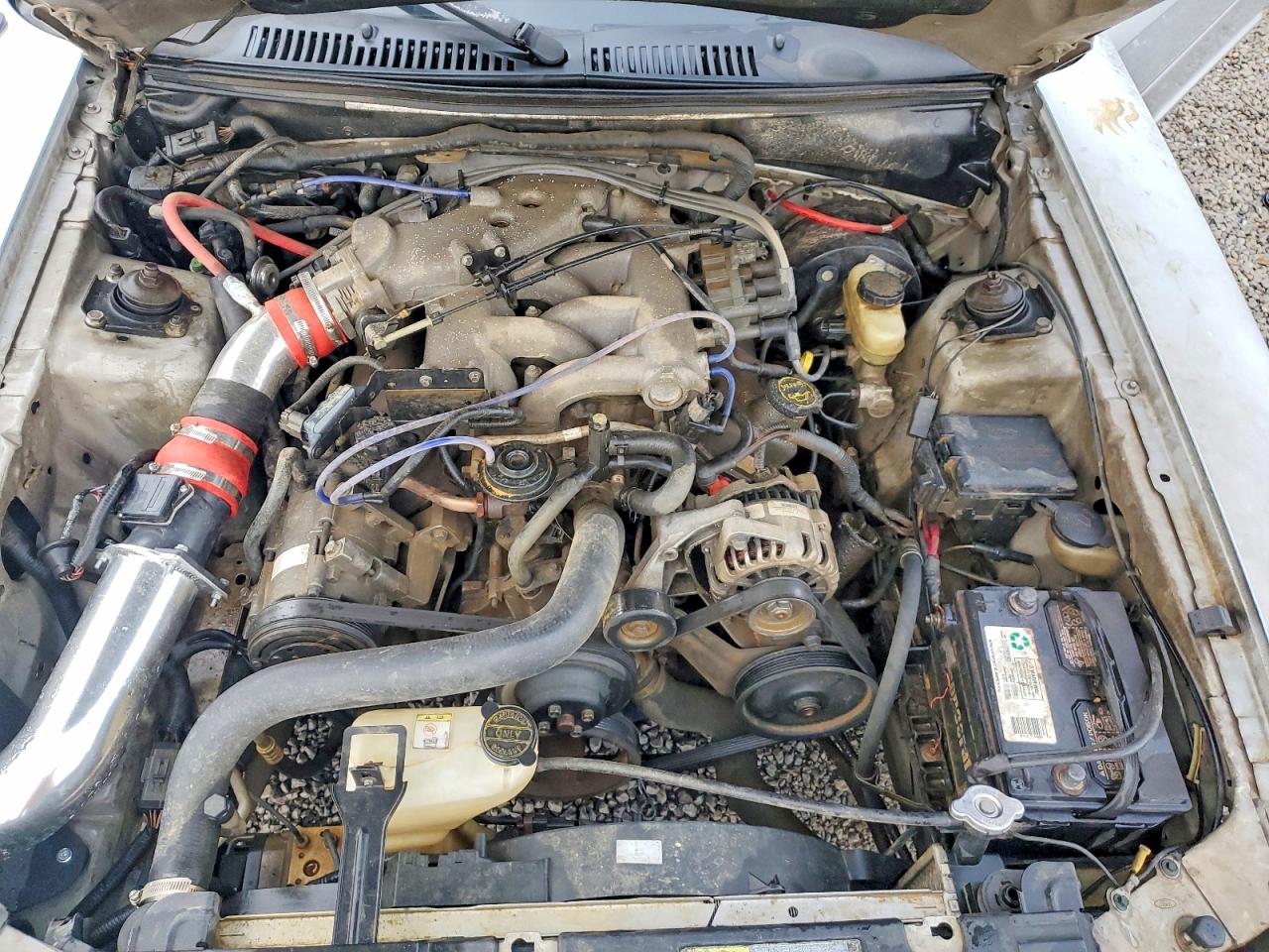 2004 FORD MUSTANG photo 11