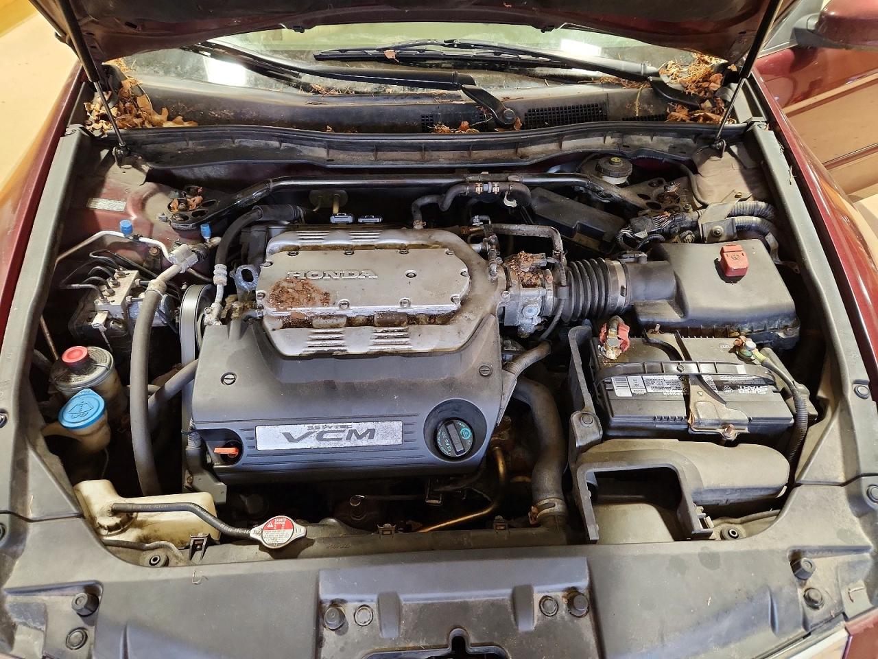 2008 HONDA ACCORD EXL photo 11