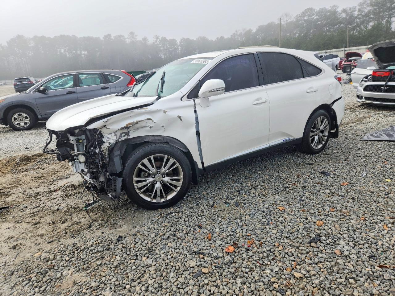 2013 LEXUS RX