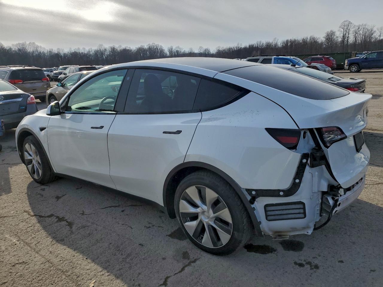 2021 TESLA MODEL Y photo 2