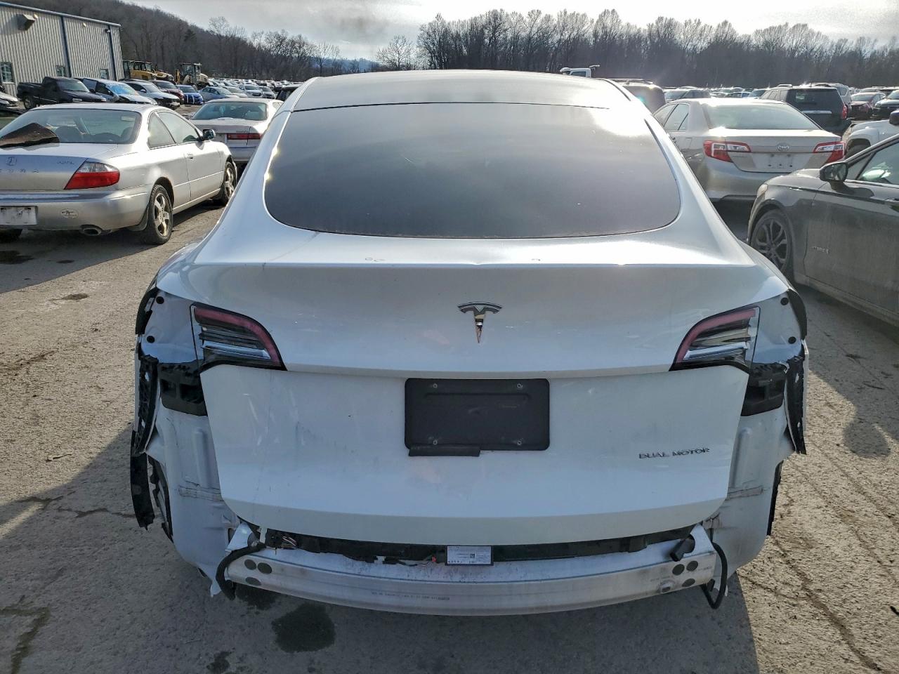 2021 TESLA MODEL Y photo 6