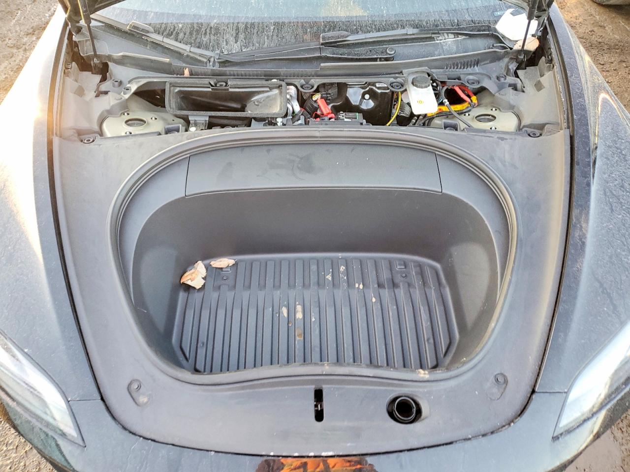 2024 TESLA MODEL 3 photo 11