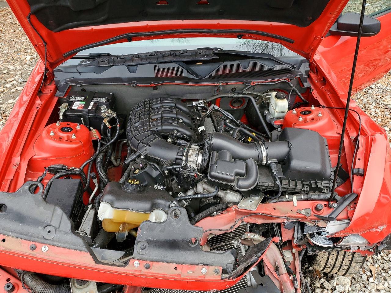 2014 FORD MUSTANG photo 11