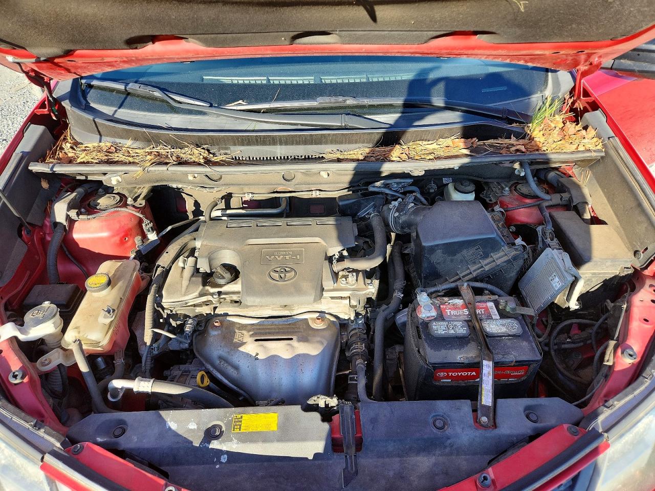 2015 TOYOTA RAV4 LE photo 12
