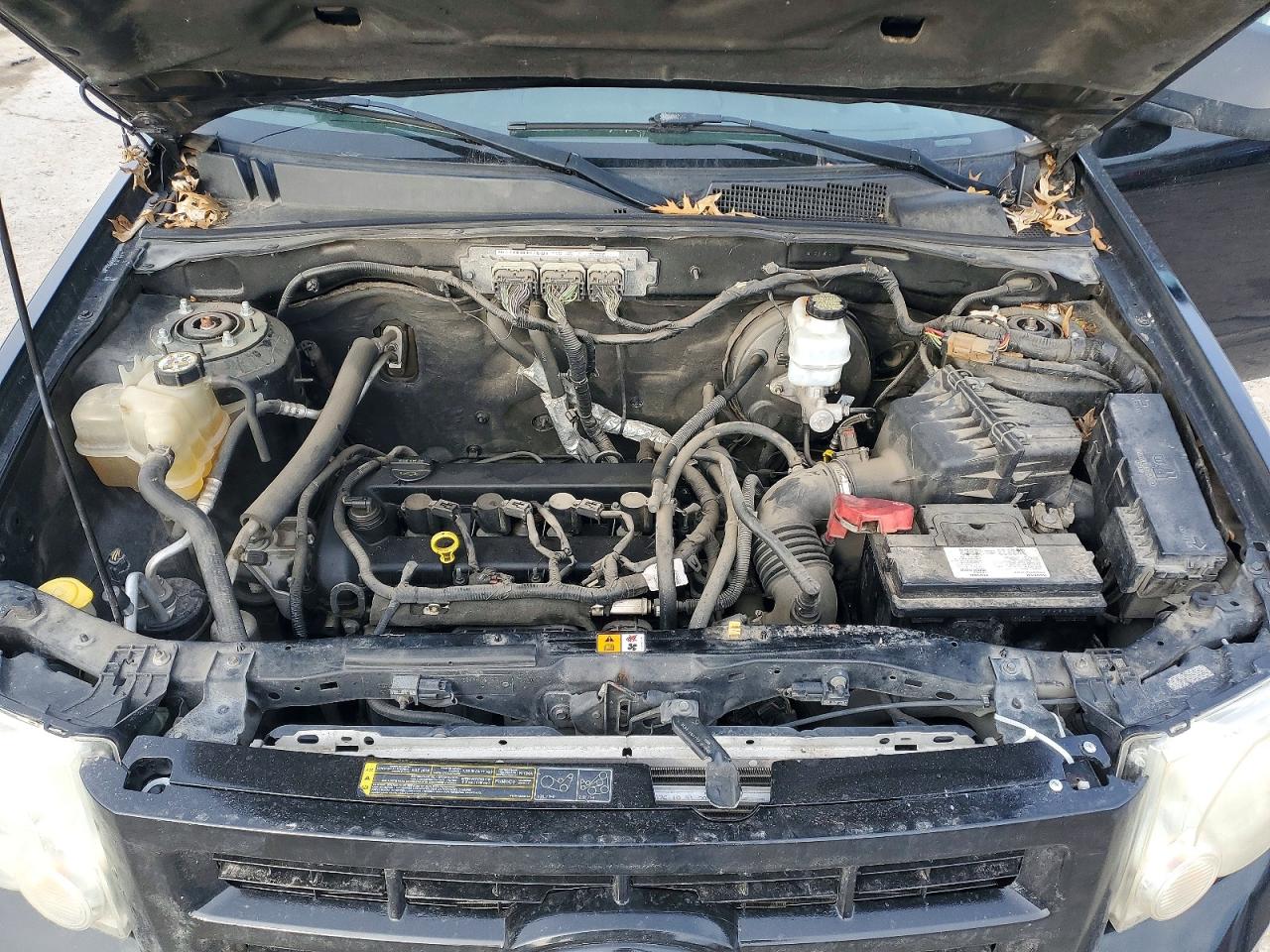 2010 FORD ESCAPE XLT photo 11