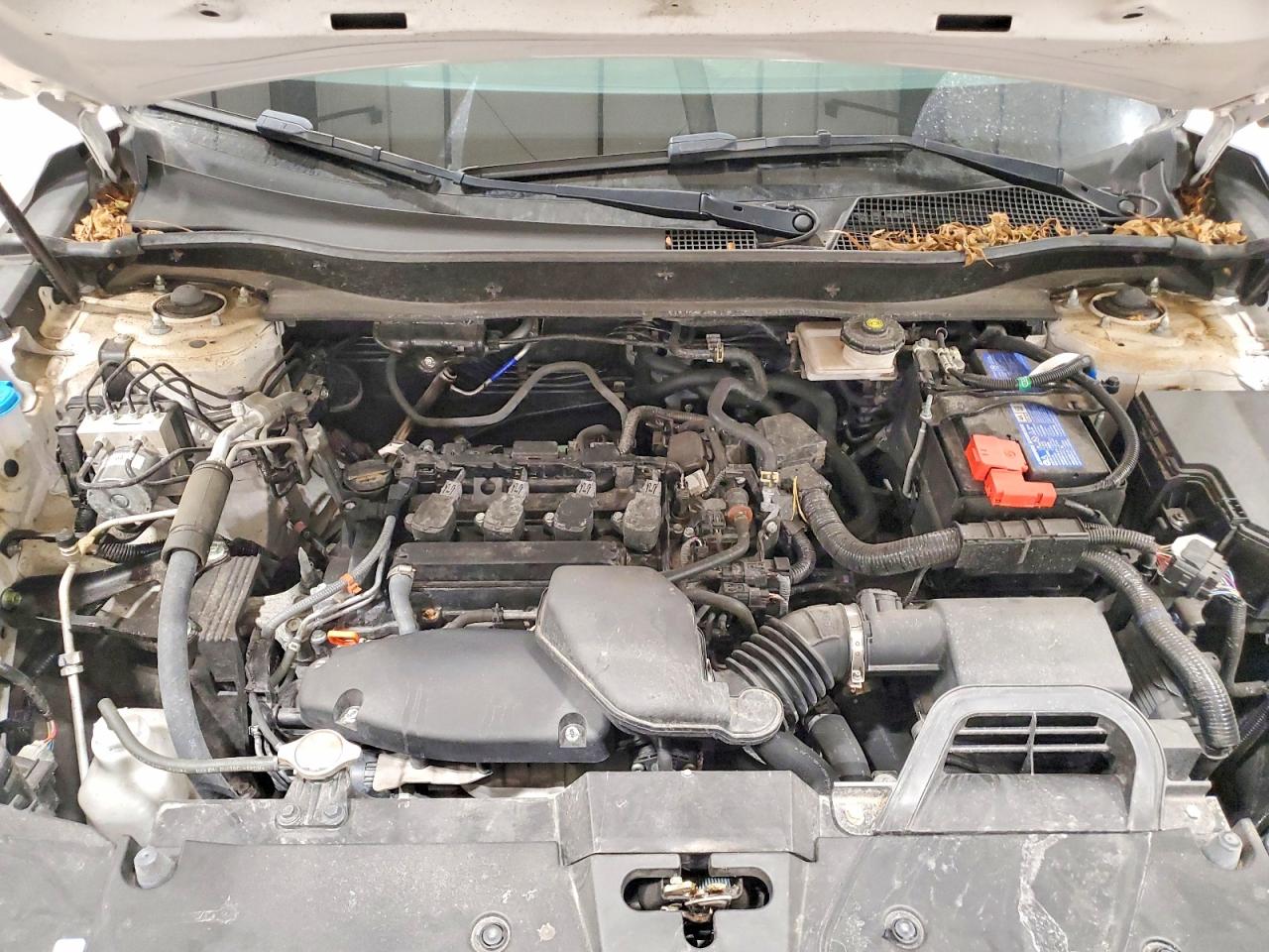 2024 HONDA CR-V EX photo 12