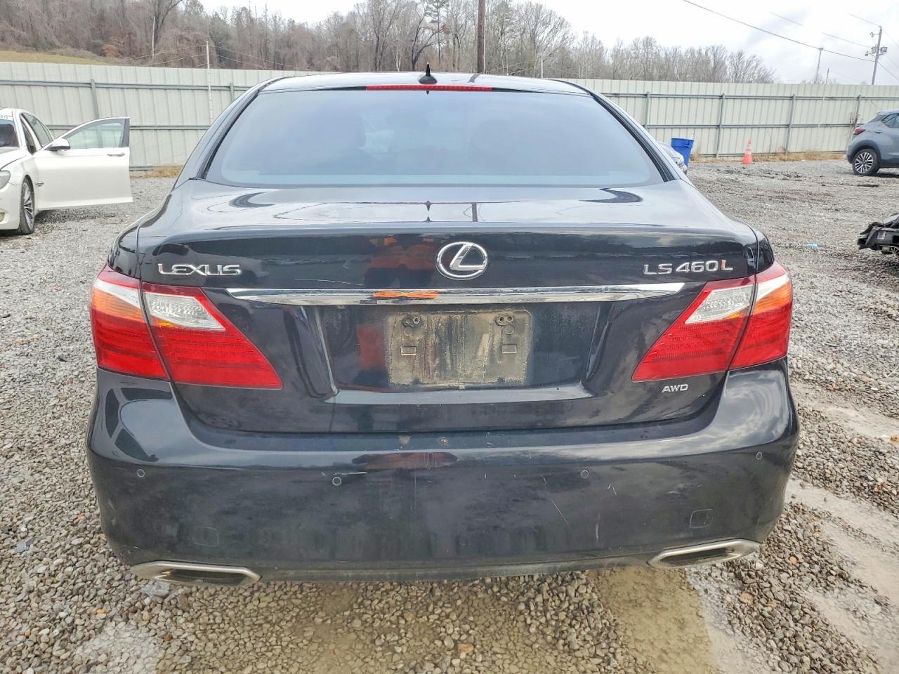 2010 LEXUS LS 460L photo 6