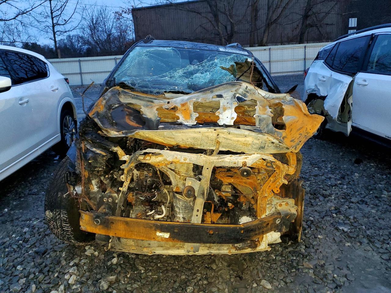 2017 TOYOTA RAV4 LE photo 5