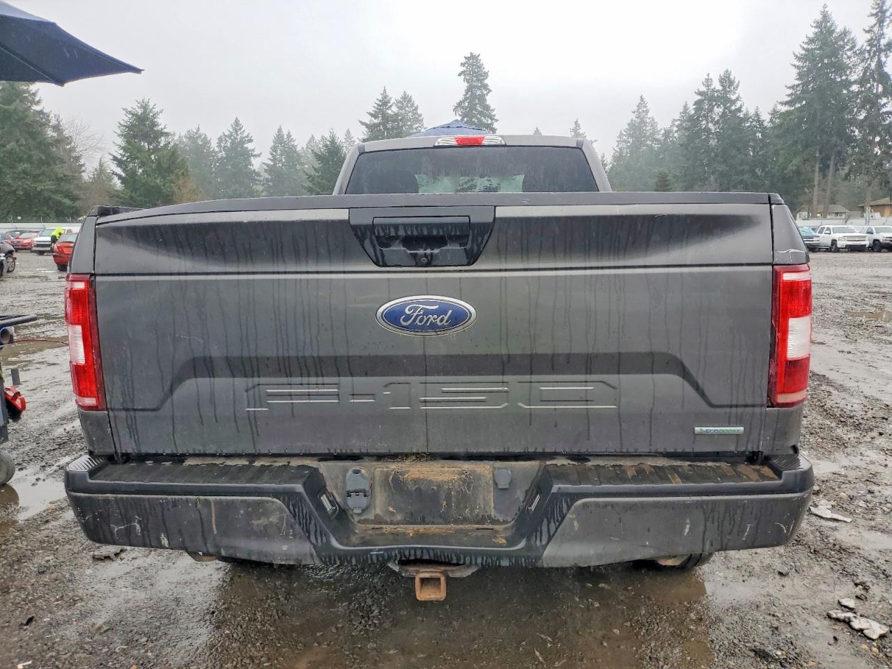 2018 FORD F150 photo 6