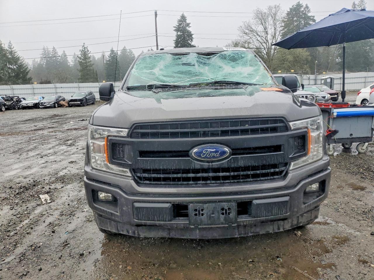 2018 FORD F150 photo 5