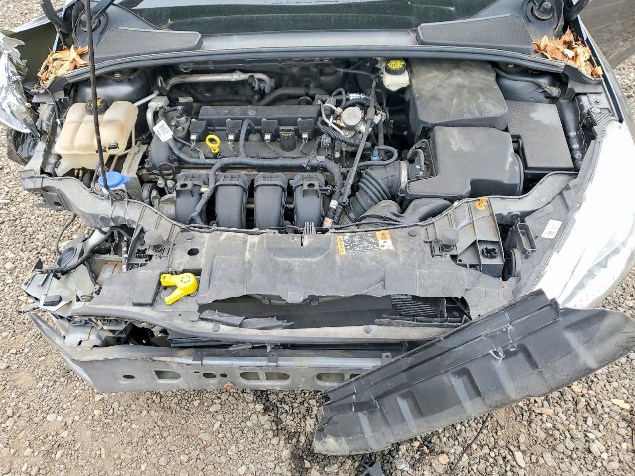 2017 FORD FOCUS SE photo 11