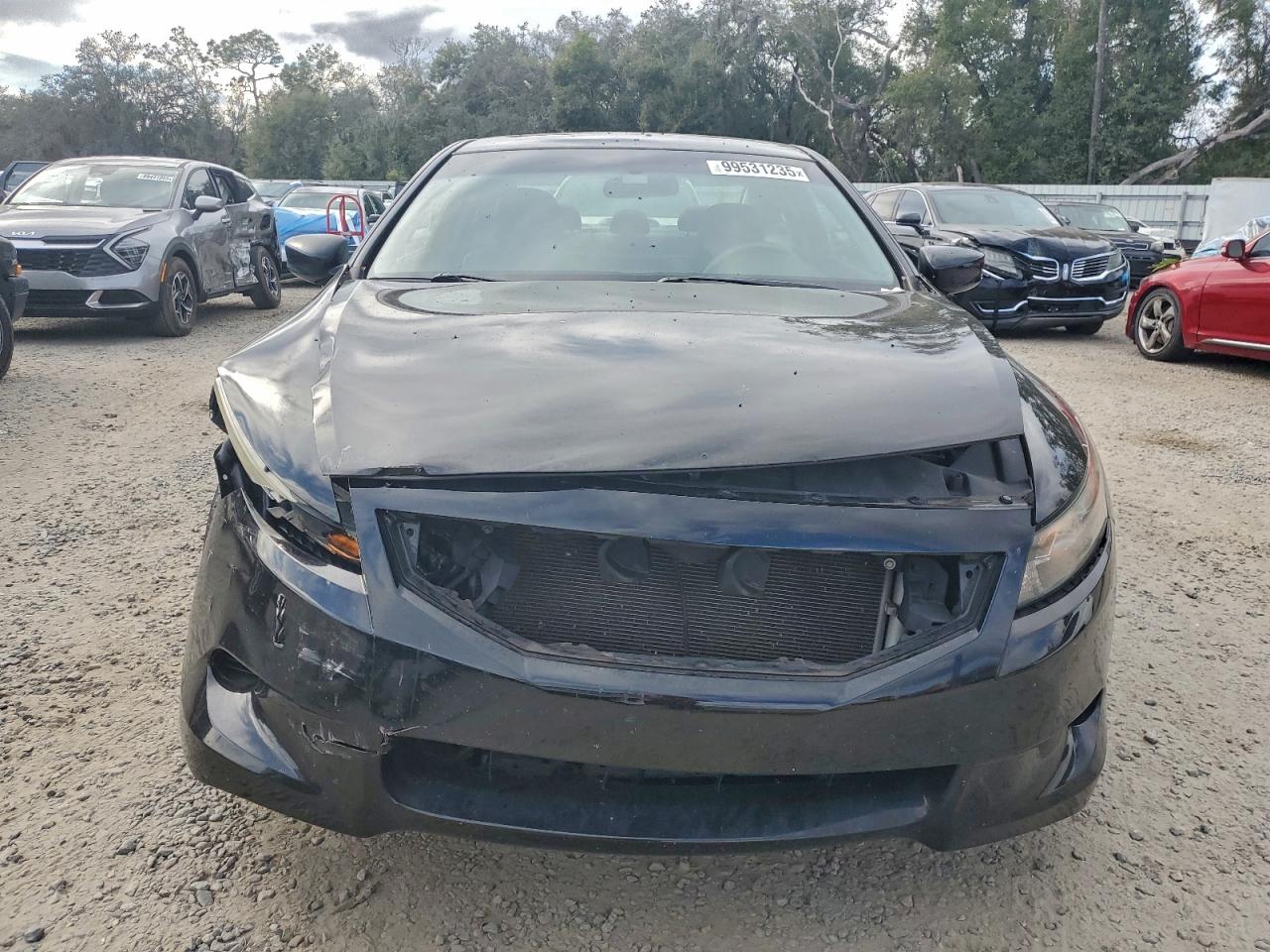 2009 HONDA ACCORD EXL photo 5