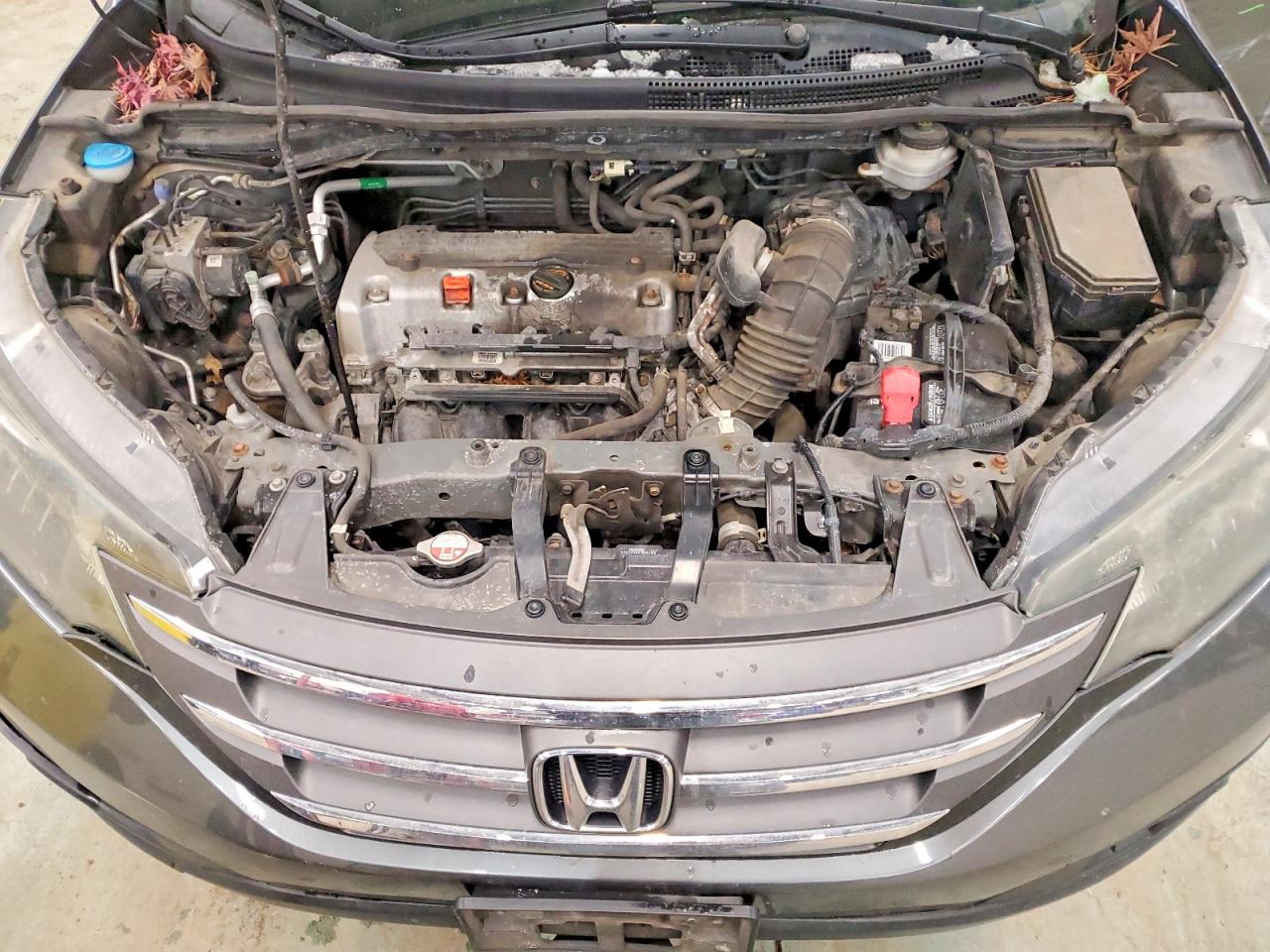 2014 HONDA CR-V EX photo 12