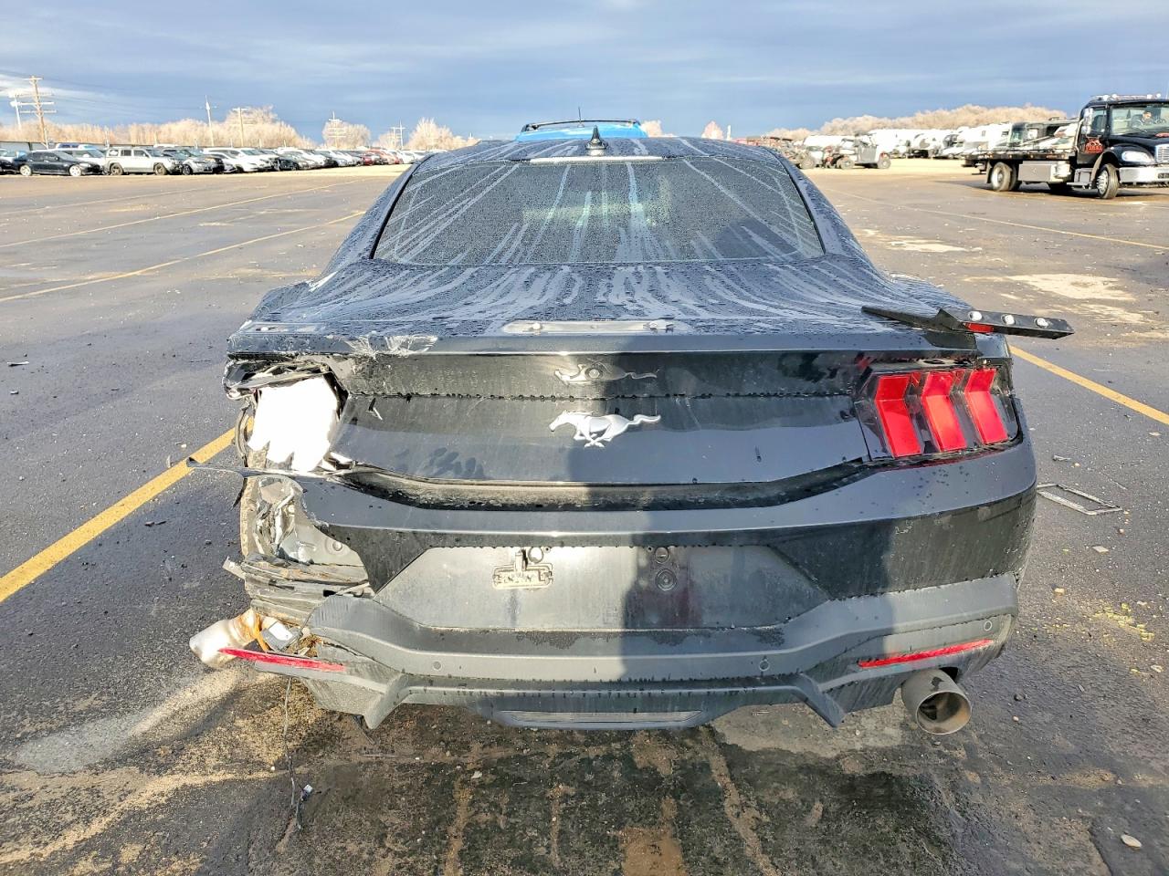 2024 FORD MUSTANG photo 6