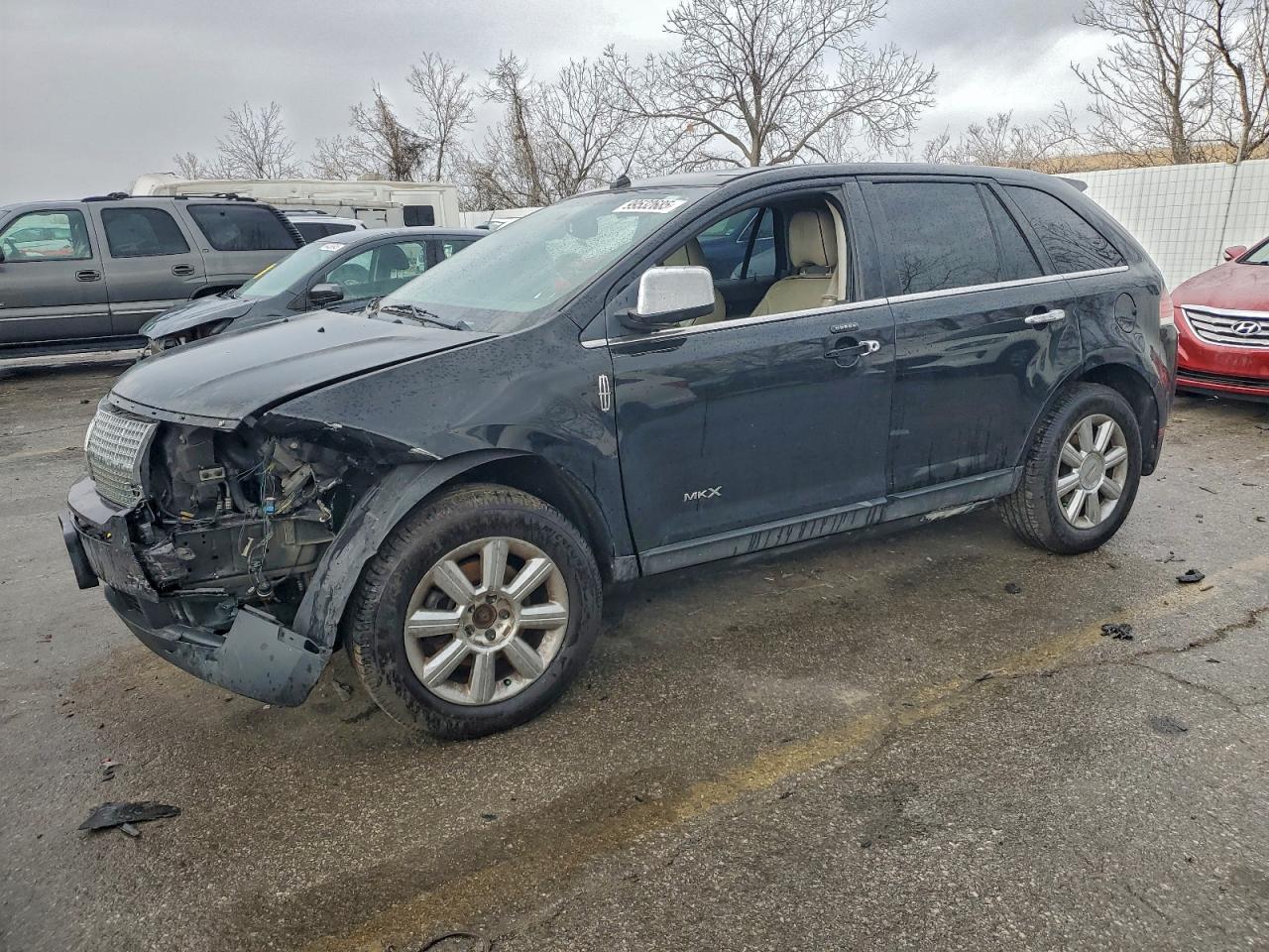 2009 LINCOLN MKX