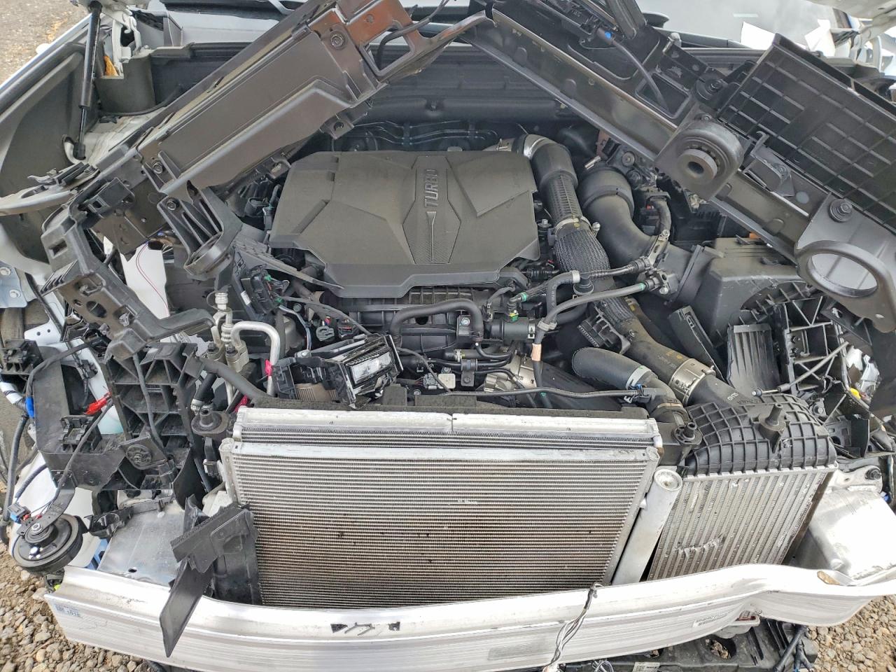 2024 HYUNDAI SANTA FE SEL photo 12