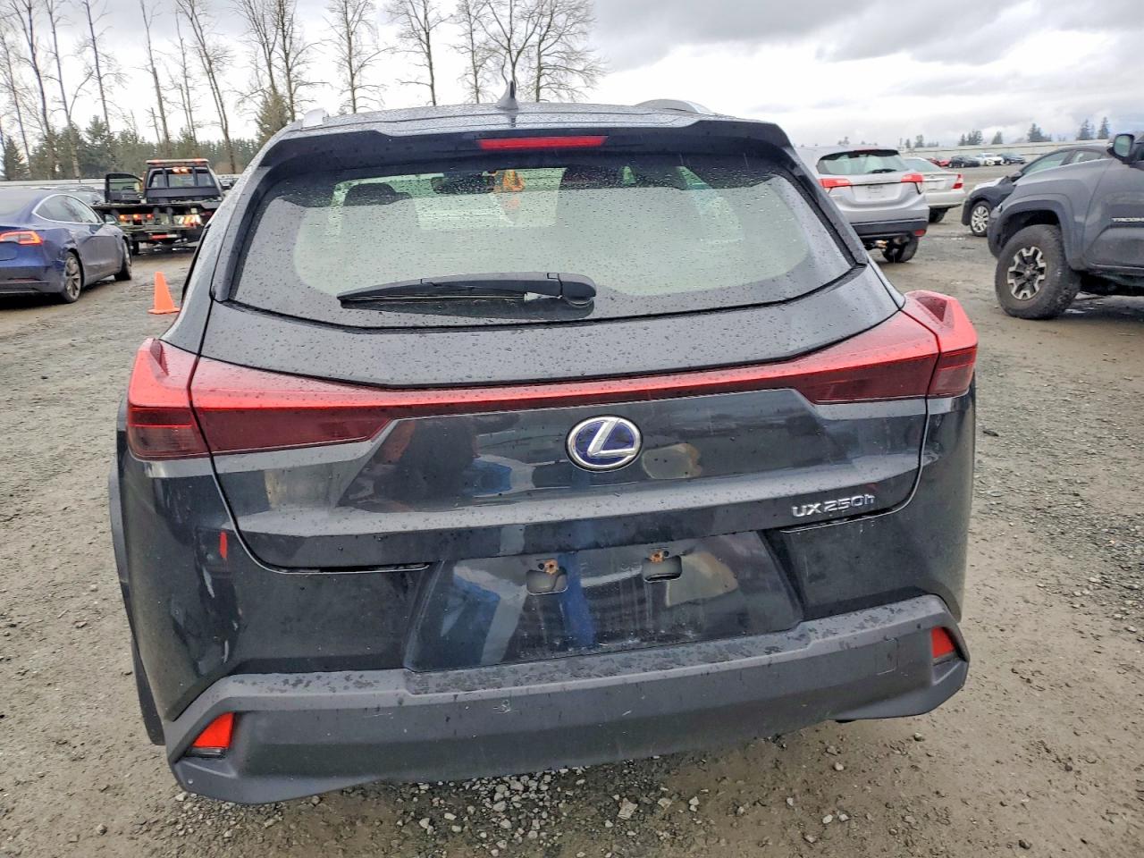 2022 LEXUS UX 250H BASE photo 6