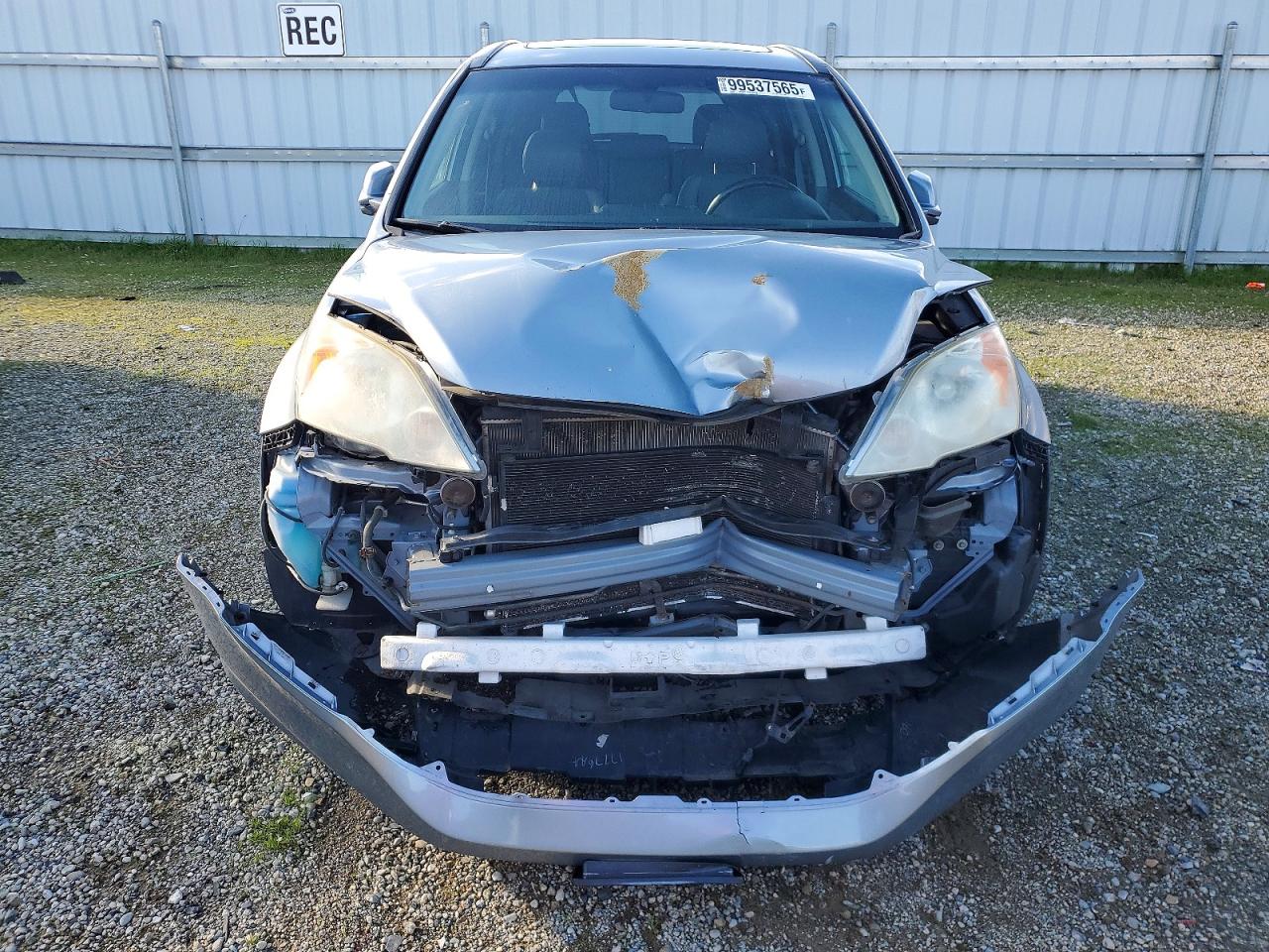 2011 HONDA CR-V EXL photo 5