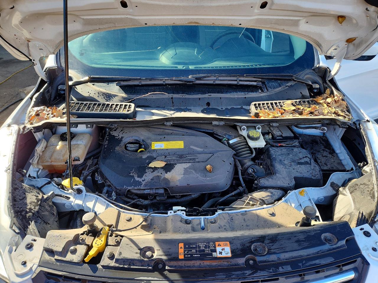 2015 FORD ESCAPE SE photo 11