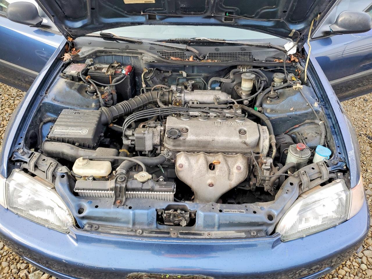 1995 HONDA CIVIC DX photo 11