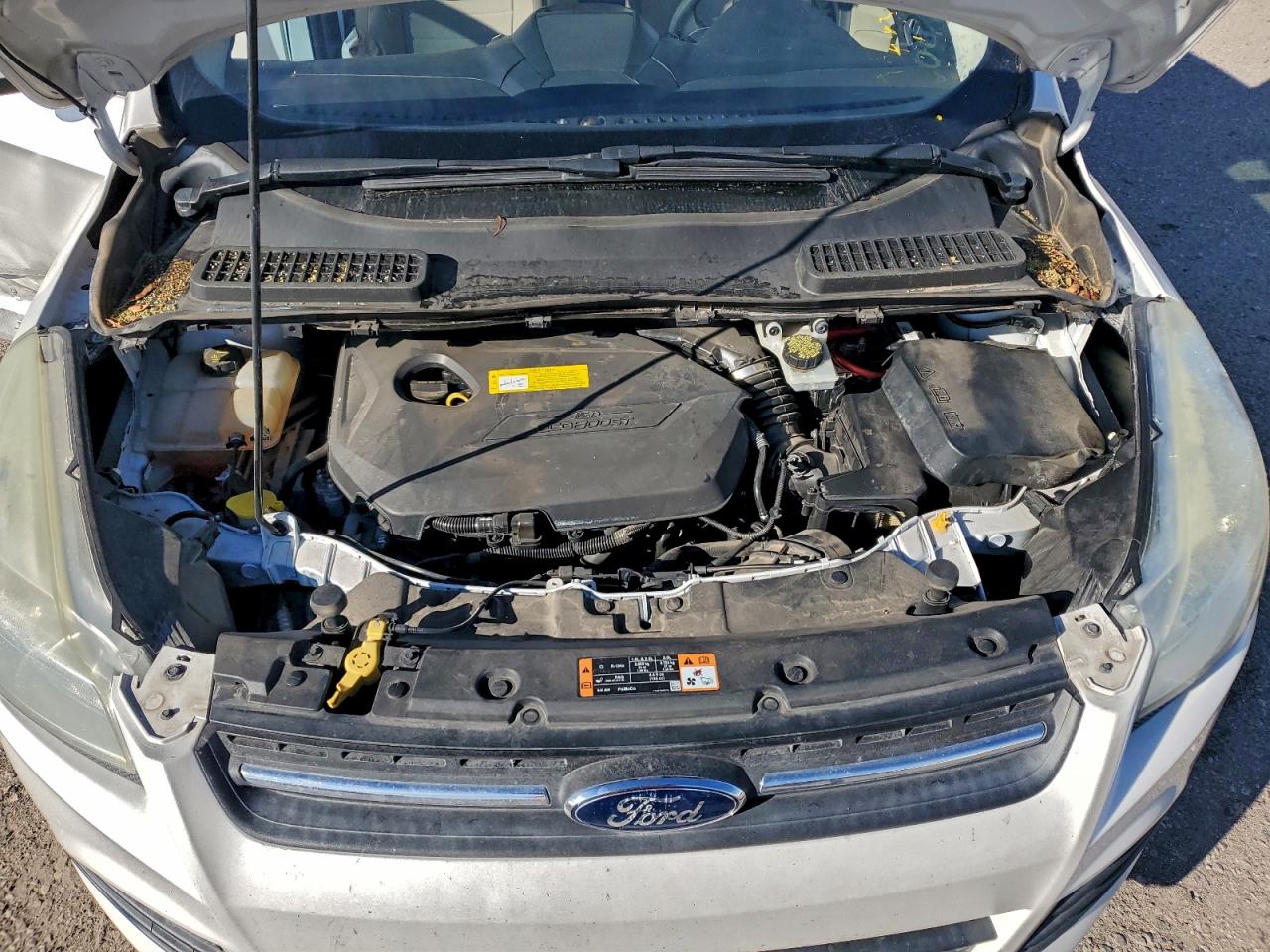 2015 FORD ESCAPE SE photo 11