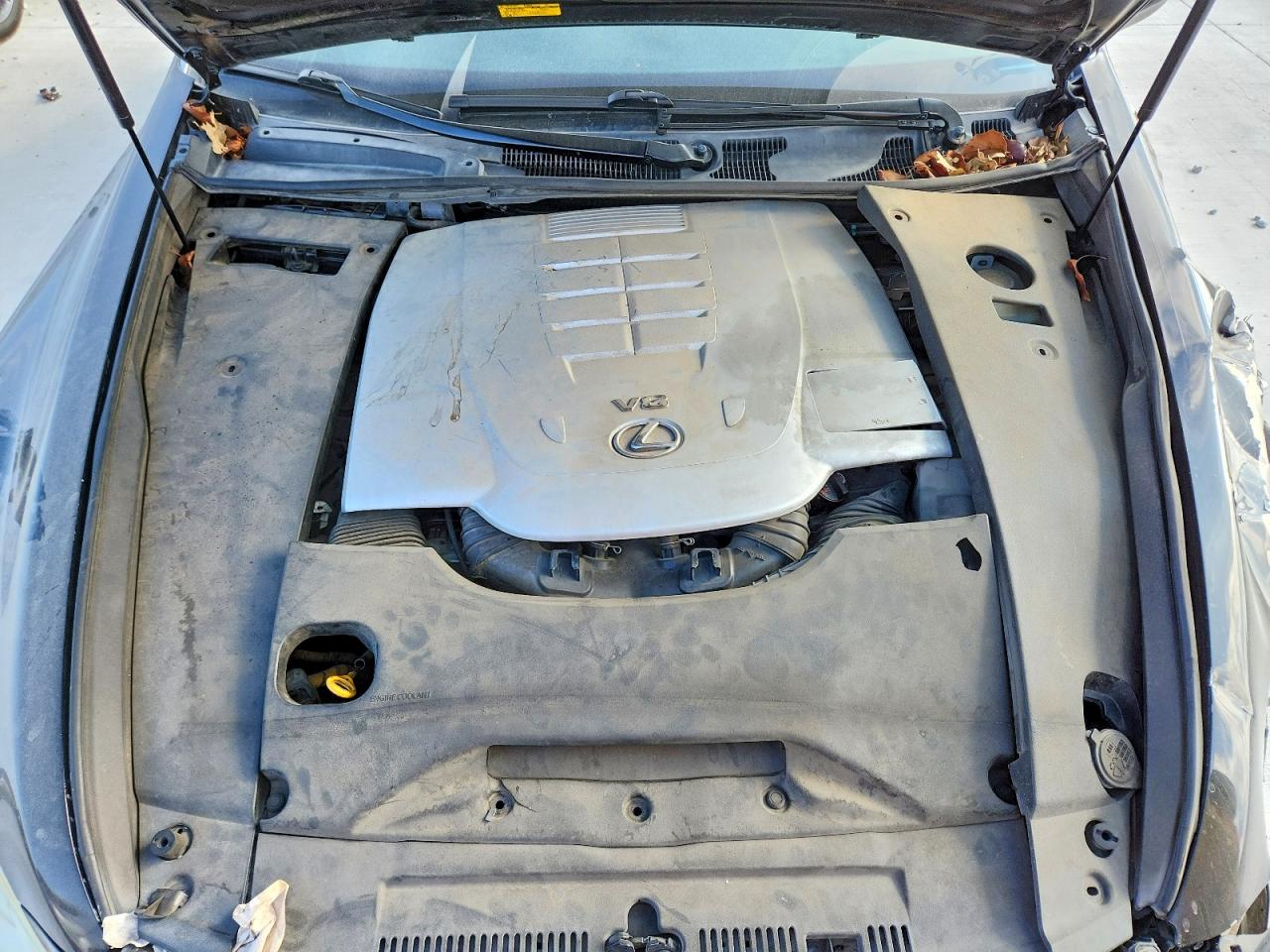 2009 LEXUS LS 460 photo 11
