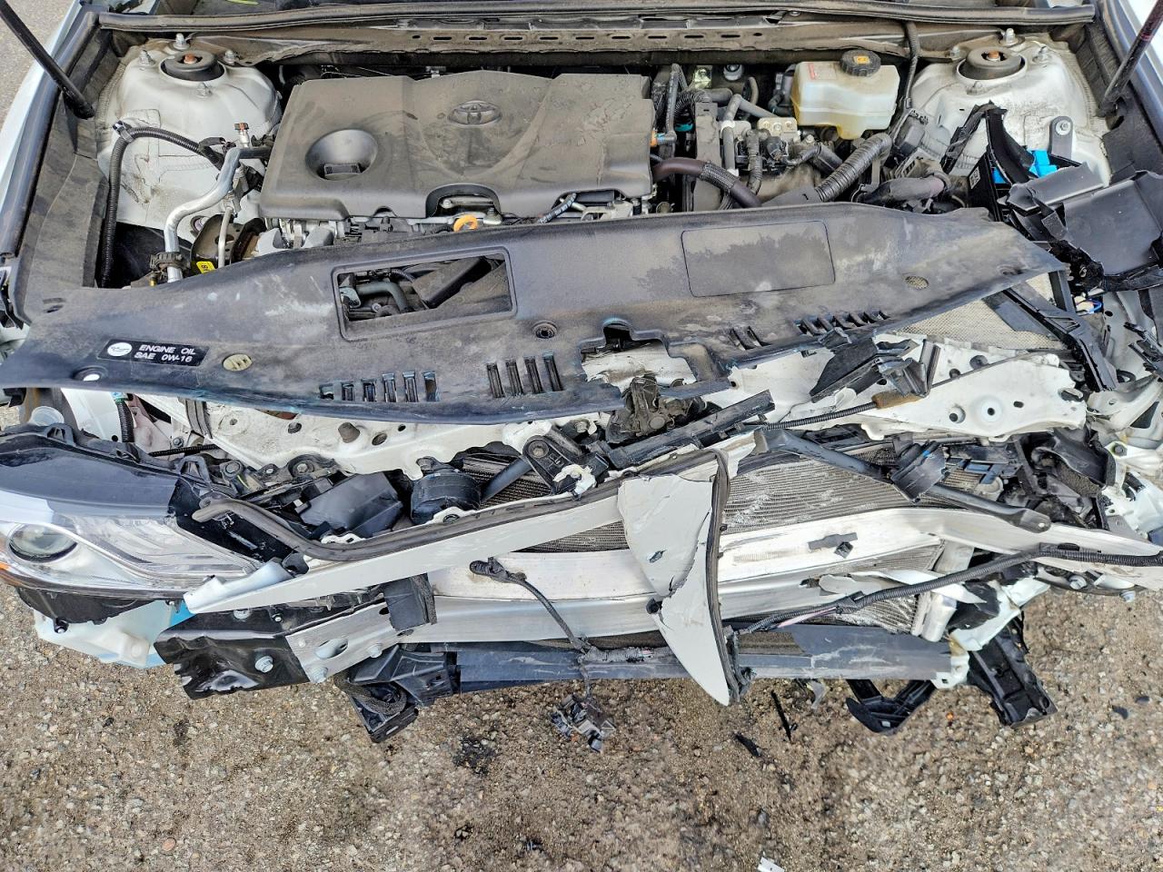 2019 TOYOTA CAMRY HYBRID photo 11