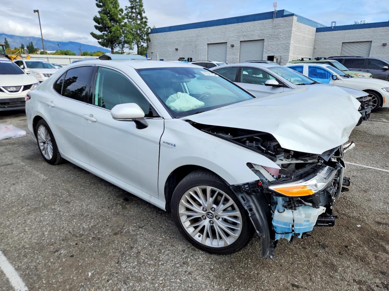 2019 TOYOTA CAMRY HYBRID photo 4