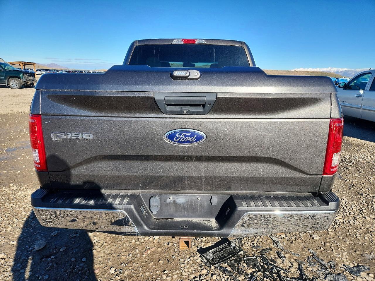 2017 FORD F150 photo 6