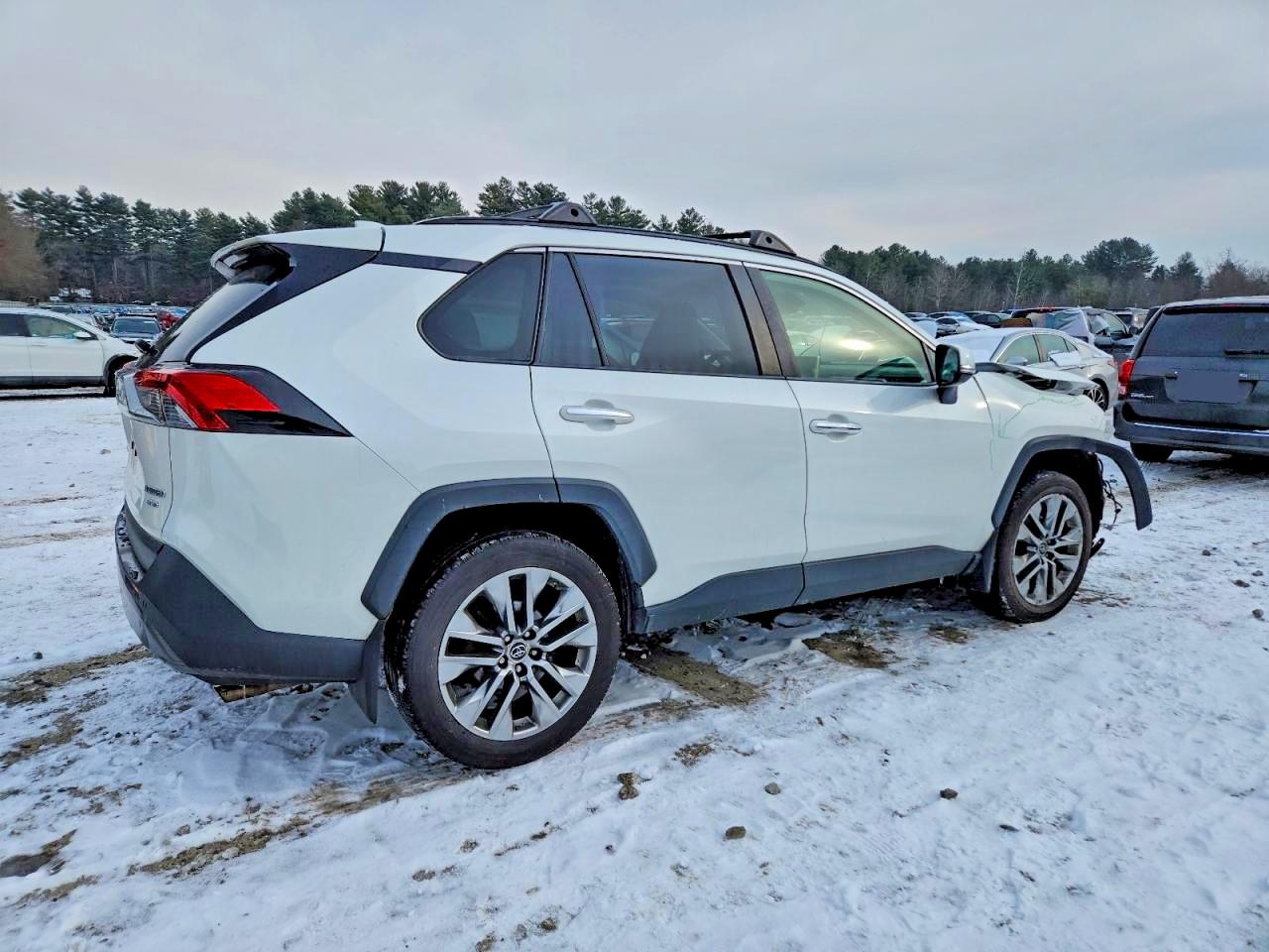 2019 TOYOTA RAV4 LIMITED photo 3