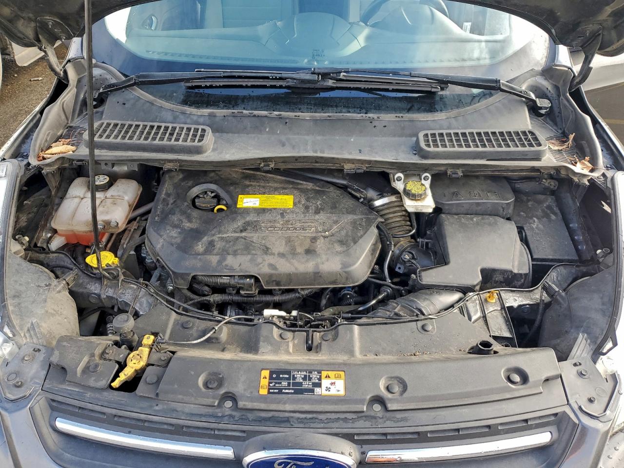 2015 FORD ESCAPE SE photo 12