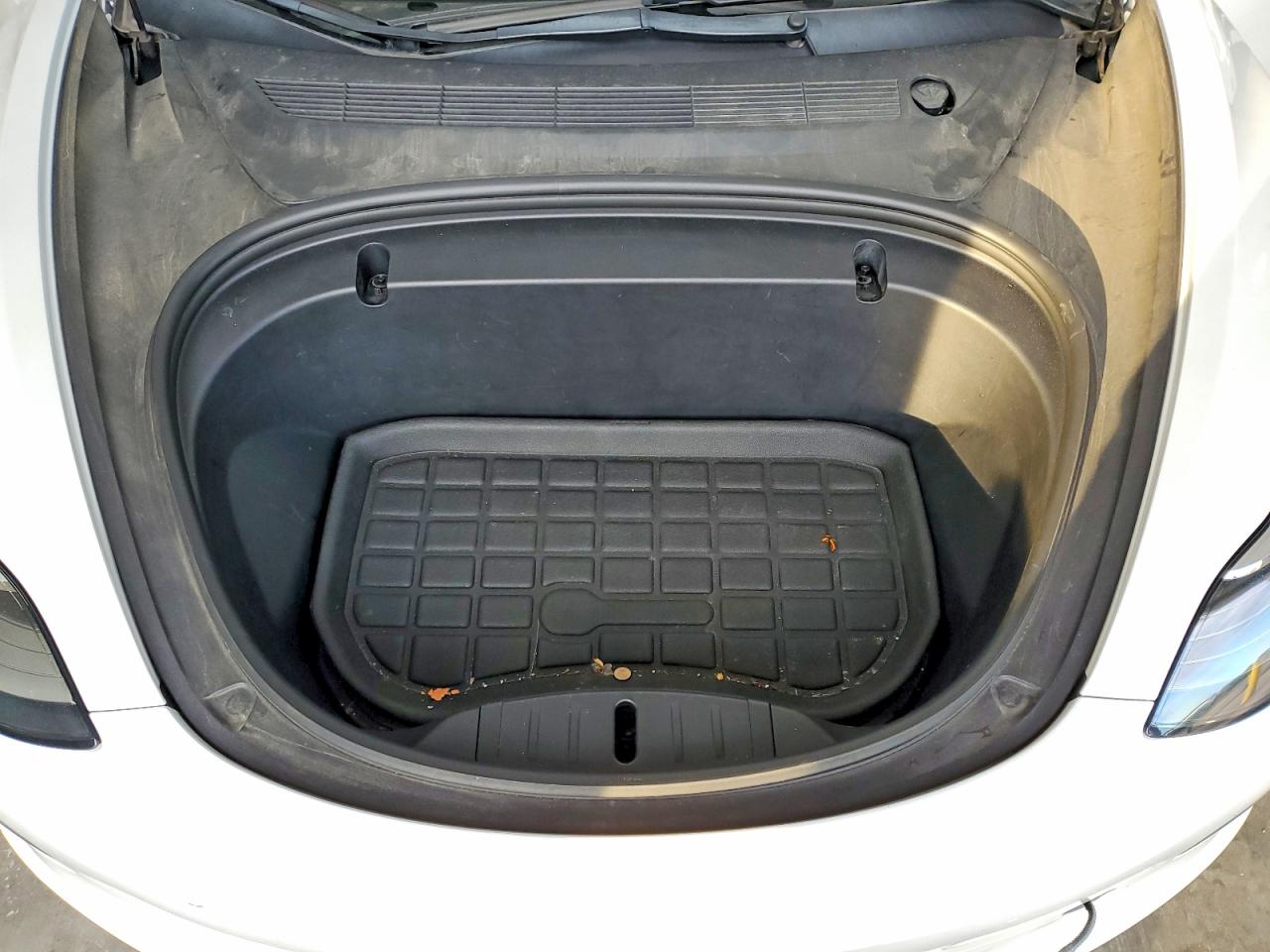 2020 TESLA MODEL 3 photo 11