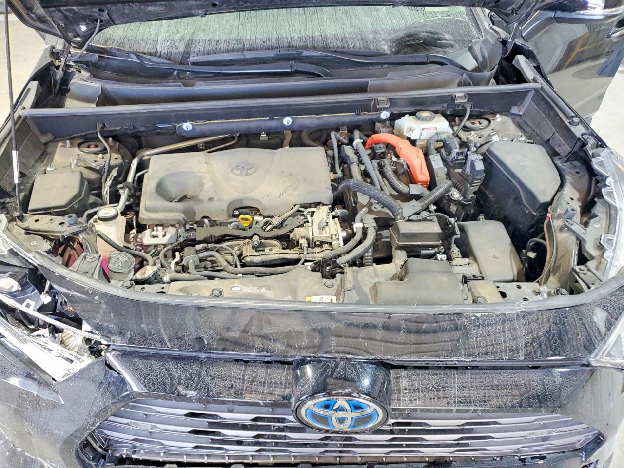 2019 TOYOTA RAV4 LIMITED photo 12