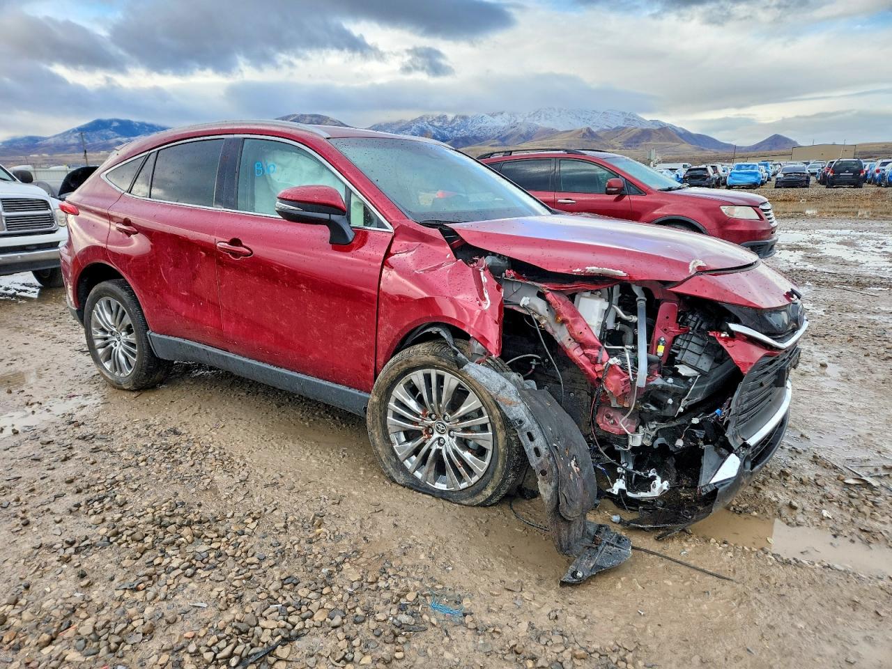 2024 TOYOTA VENZA LE photo 4