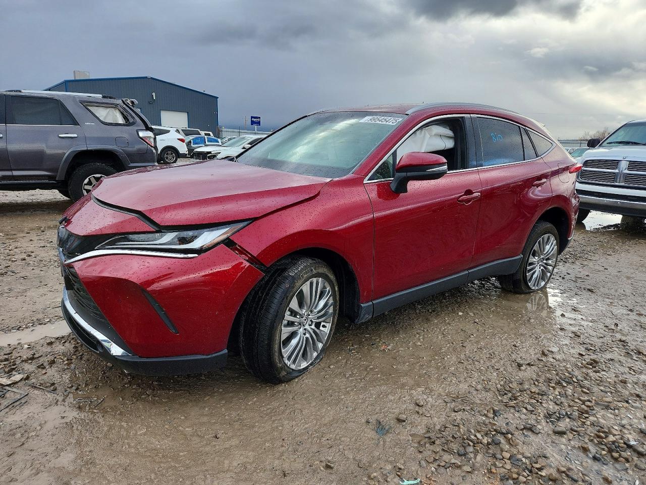 2024 TOYOTA VENZA