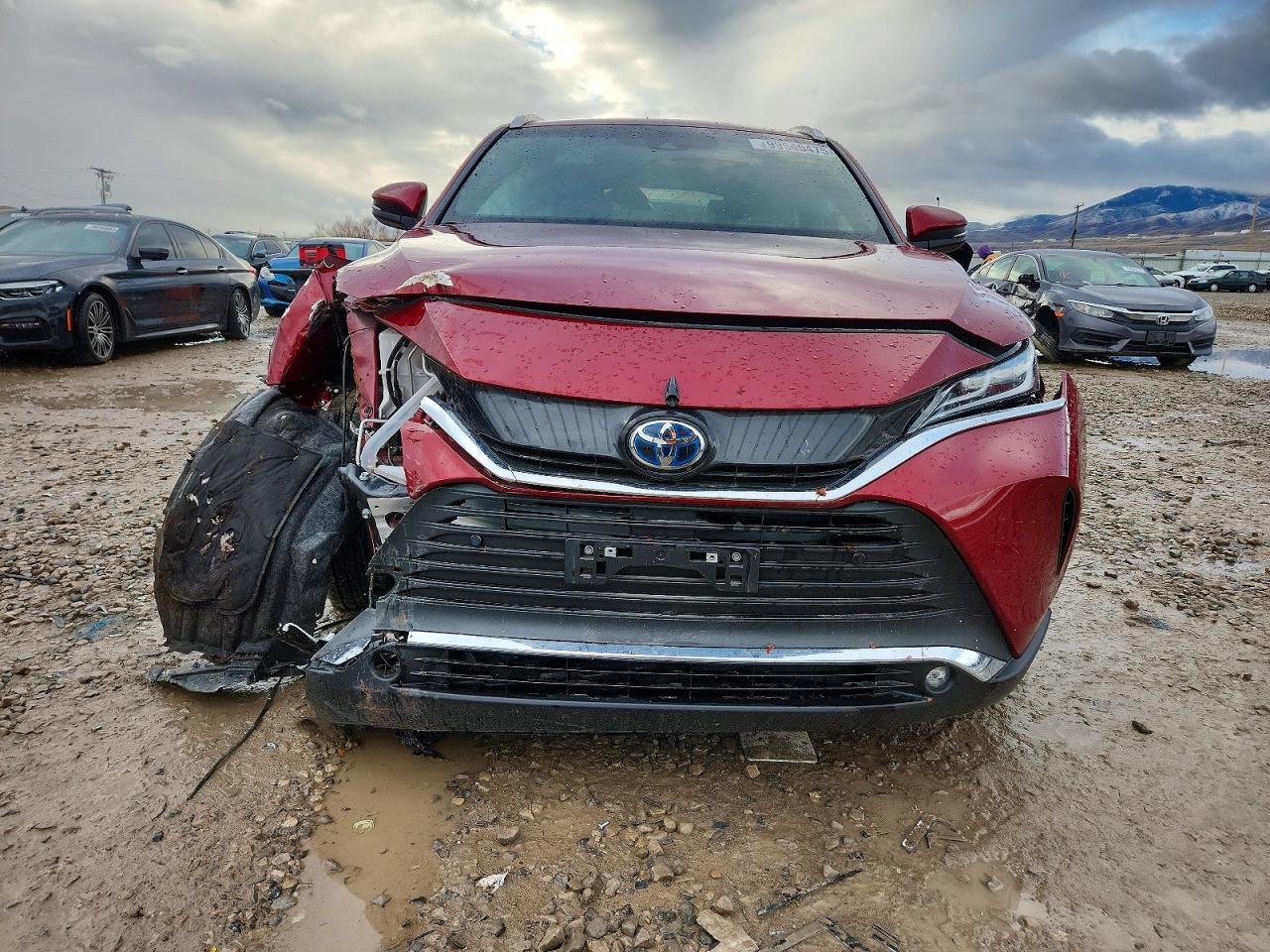 2024 TOYOTA VENZA LE photo 5