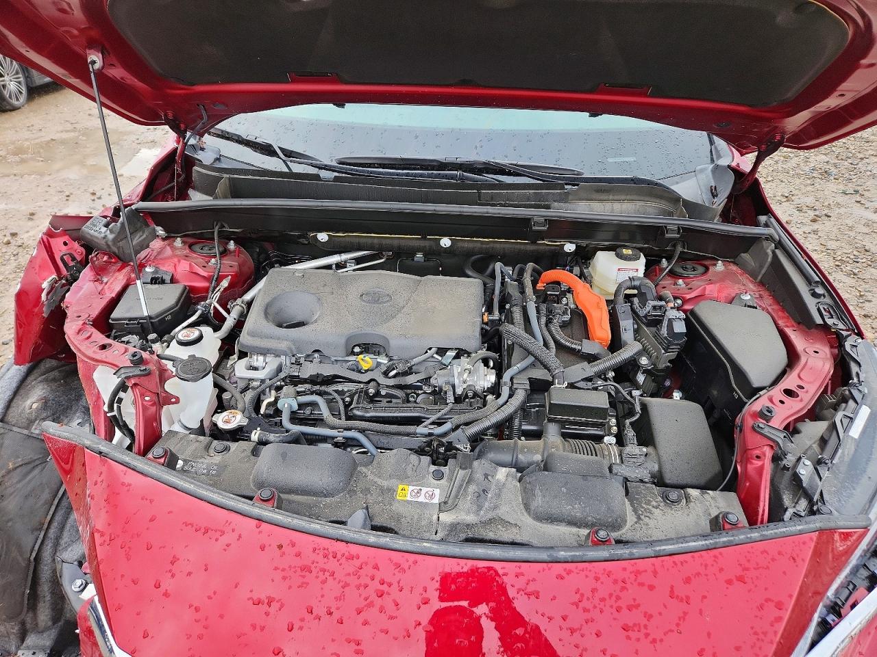 2024 TOYOTA VENZA LE photo 11