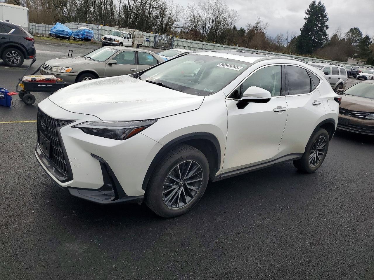 2022 LEXUS NX