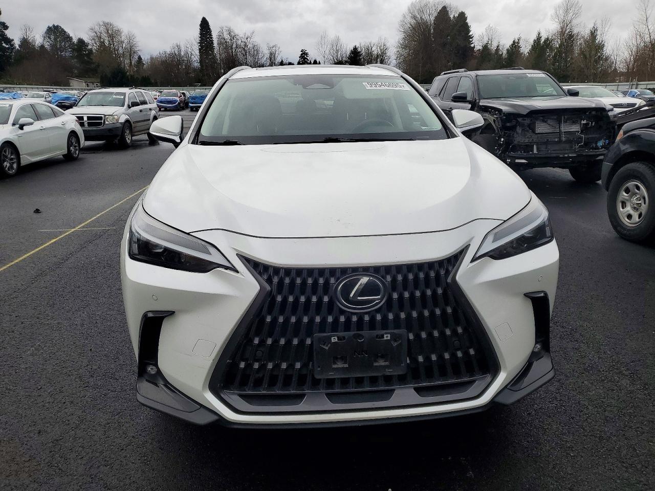 2022 LEXUS NX 350H photo 5