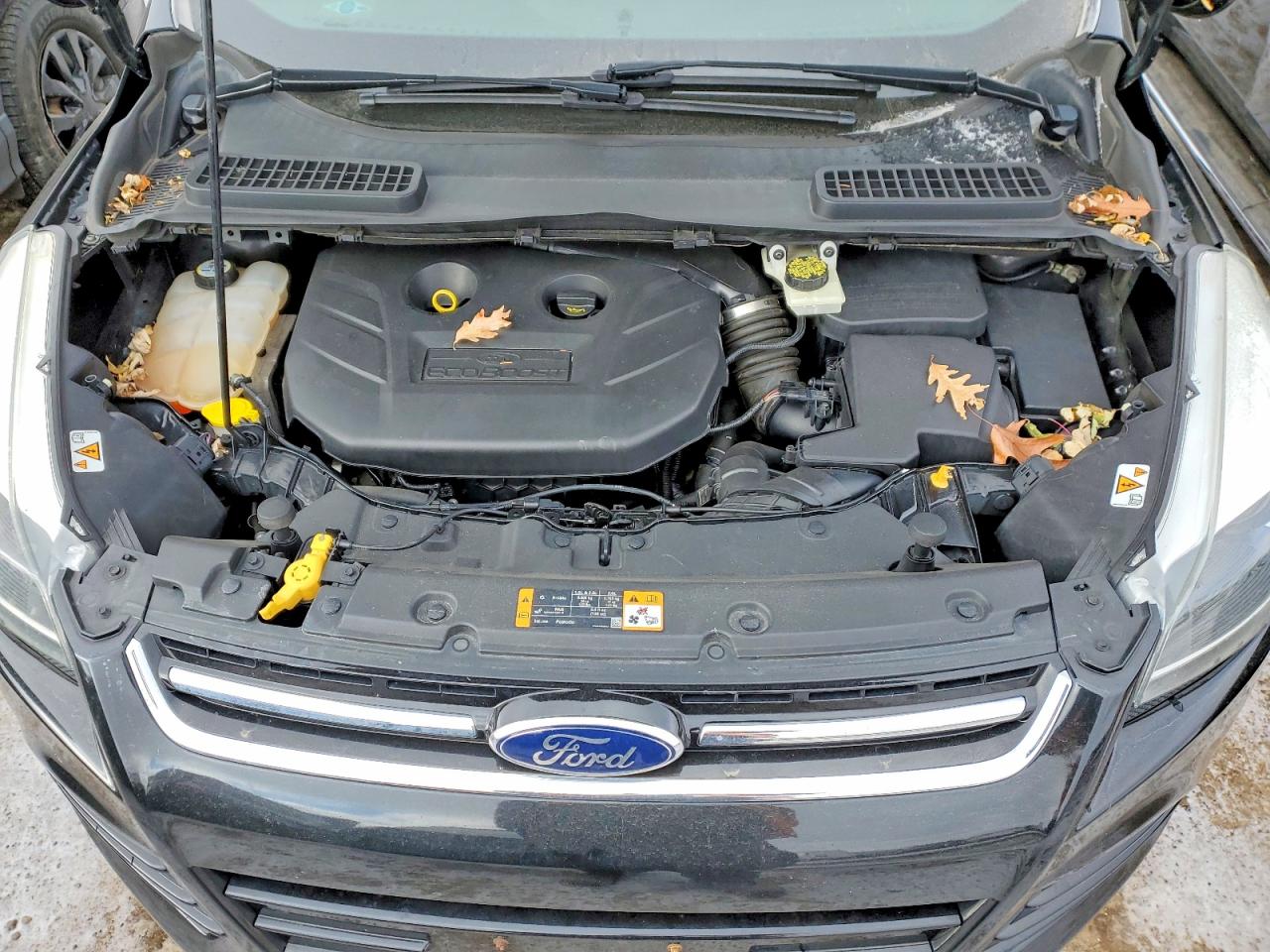 2013 FORD ESCAPE TITANIUM photo 11