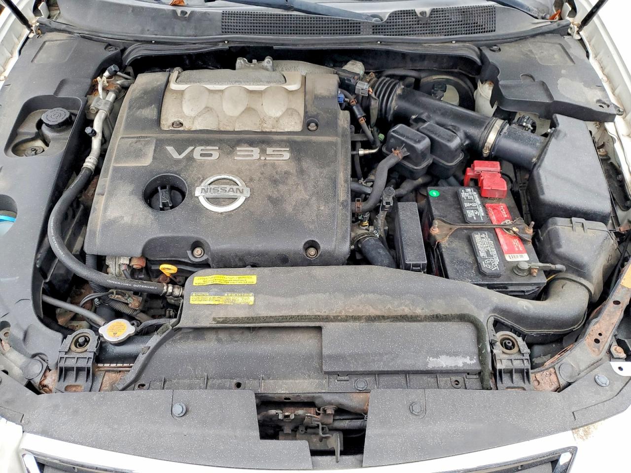 2008 NISSAN MAXIMA SE photo 11