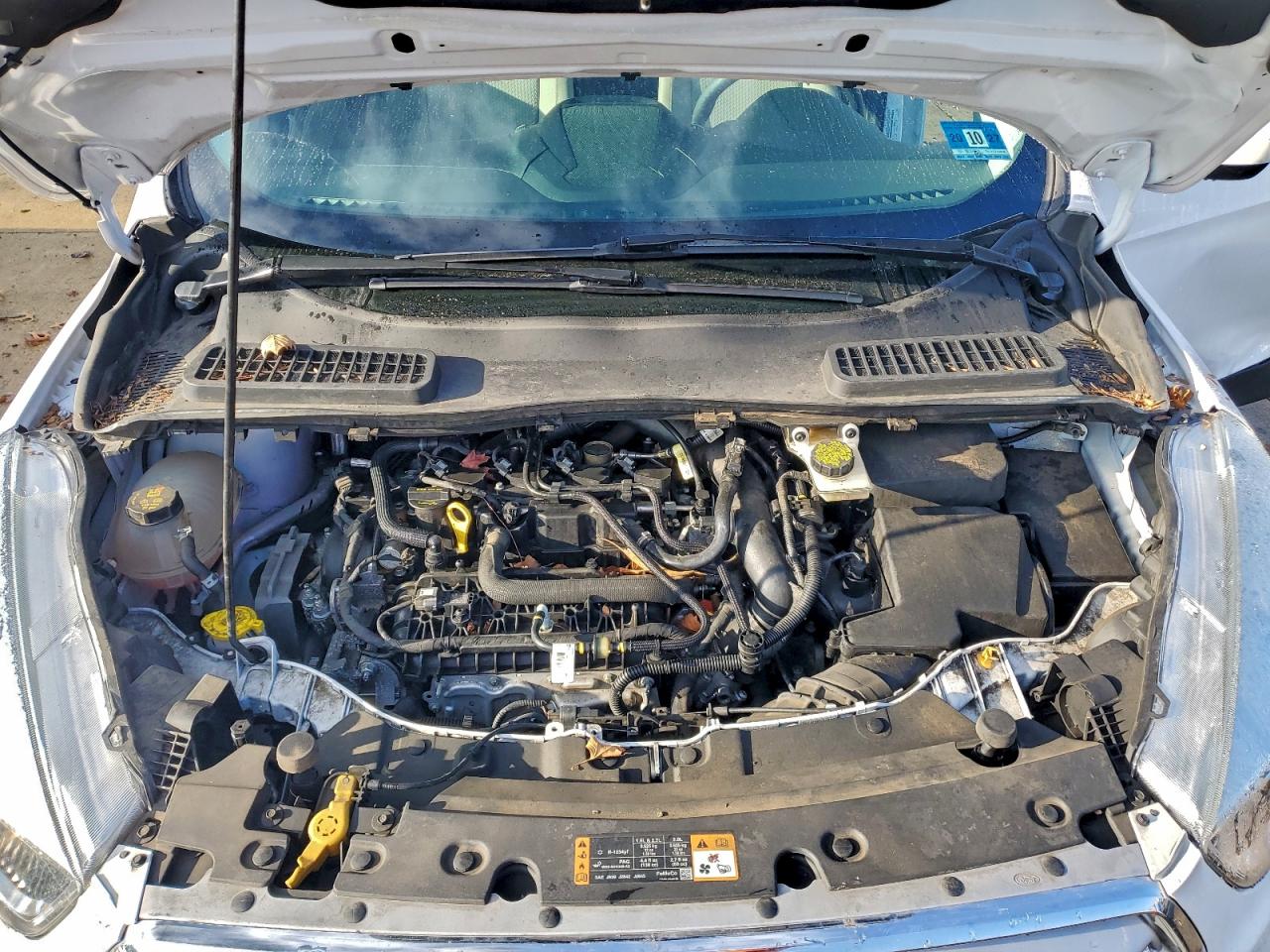 2019 FORD ESCAPE SE photo 12