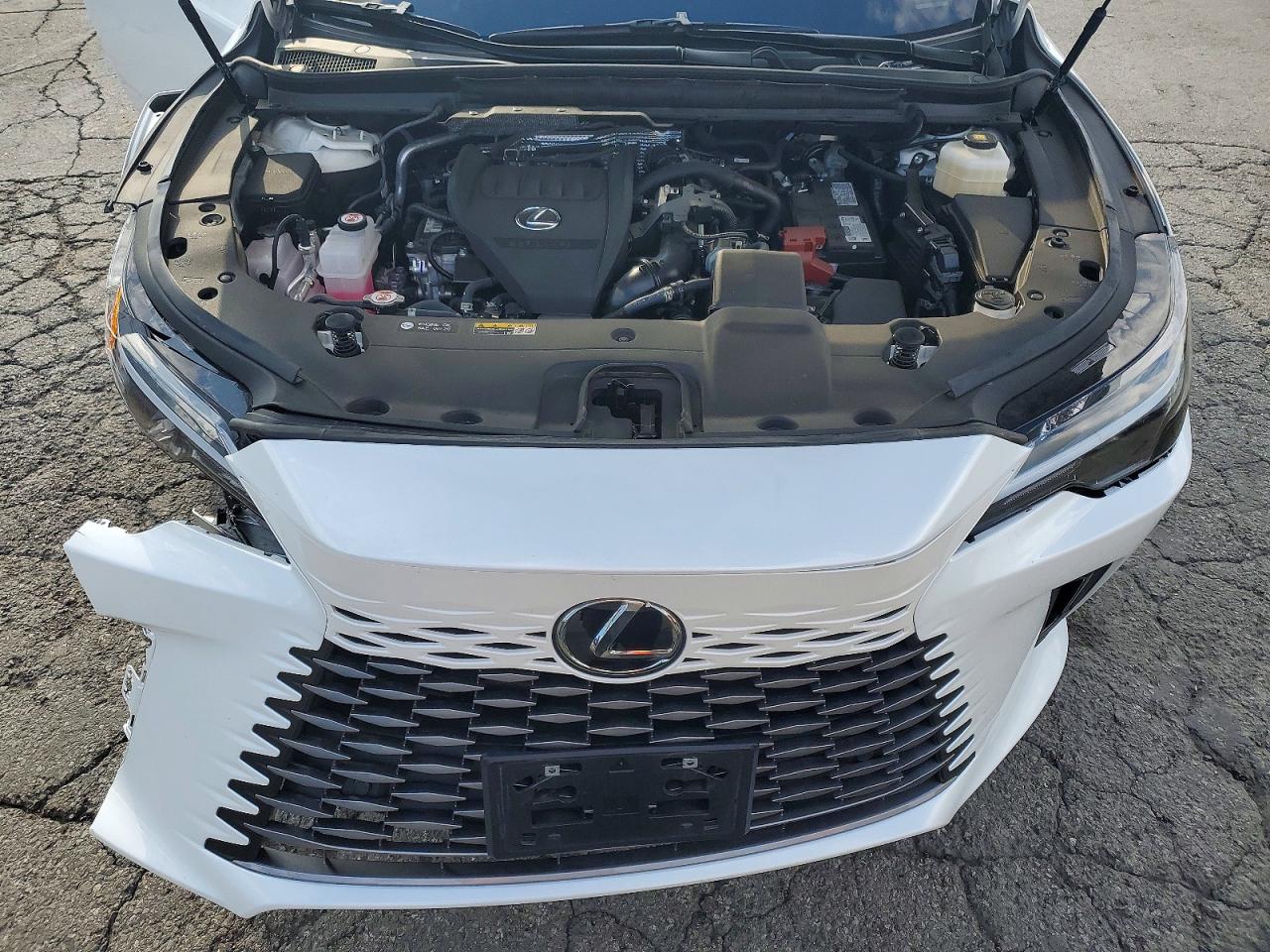 2025 LEXUS RX 350 BASE photo 12