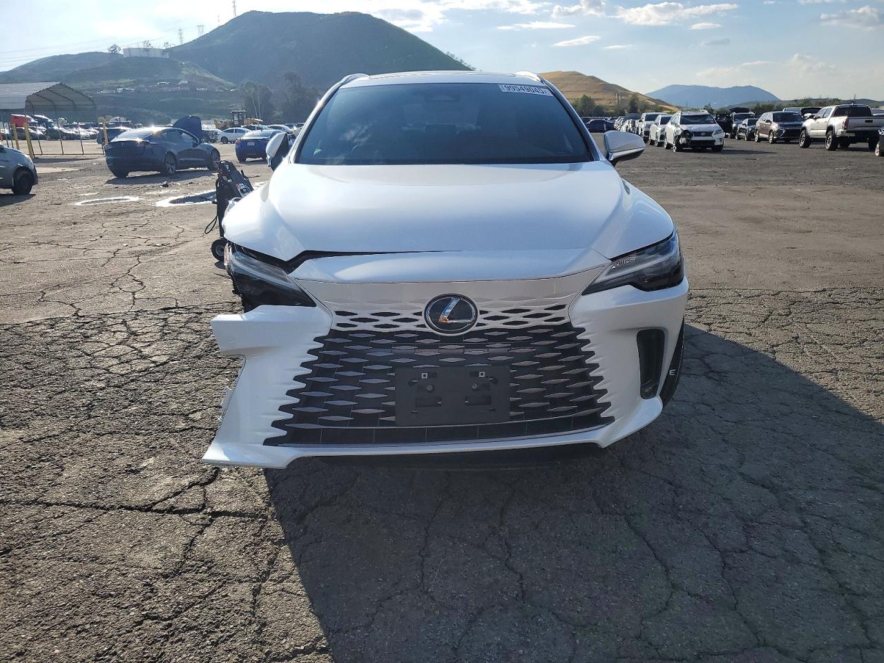 2025 LEXUS RX 350 BASE photo 5
