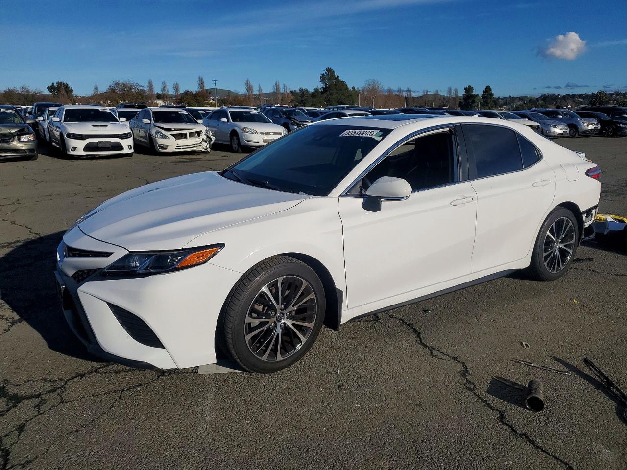 2019 TOYOTA CAMRY