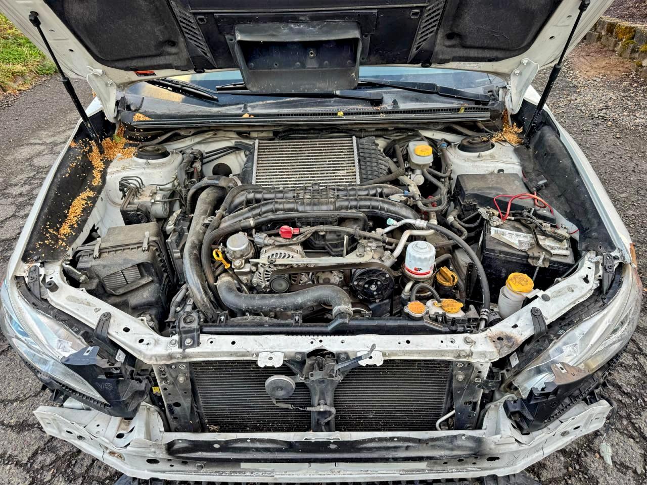 2020 SUBARU WRX photo 19