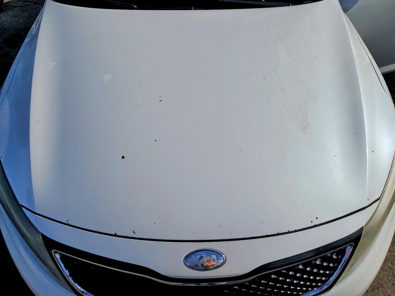 2015 KIA OPTIMA LX photo 11