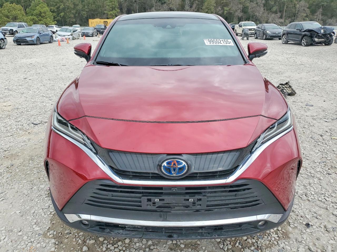 2024 TOYOTA VENZA LE photo 5